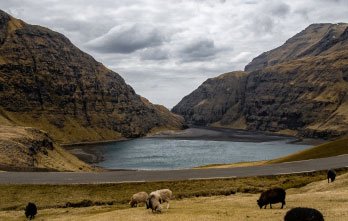 83 faroe islands trip planner tours 4.jpg